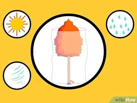 Image titled Prepare Newly Planted Trees for Winter Step 3