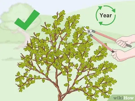 Image titled Prune Gooseberries Step 11