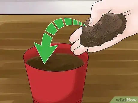 Image titled Propagate a Golden Pothos Step 5