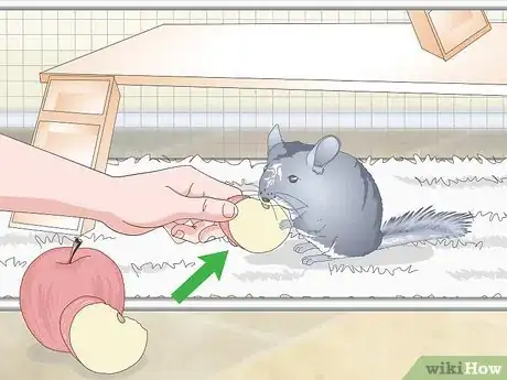 Image titled Avoid Poisoning a Chinchilla Step 8