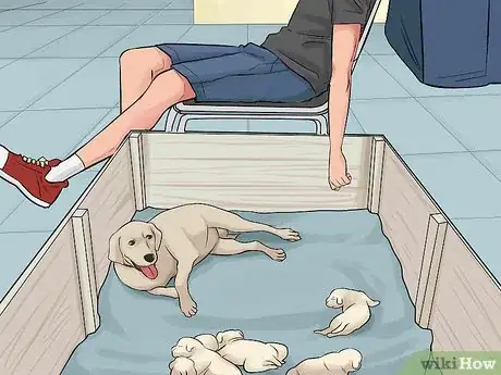 Image titled Handle a Mother Dog Refusing to Stay with Her Puppies Step 1