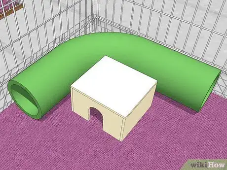 Image titled Introduce Pet Rats Step 8