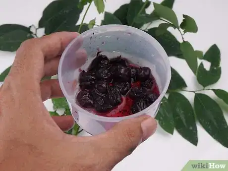 Image titled Make Toddler Food Squeeze Pouches Step 2