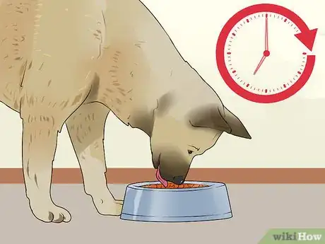 Image titled Keep a Dog from Sneaking Human Food Step 10