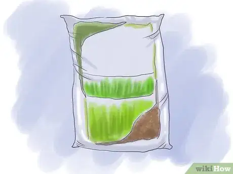 Image titled Plant a Lawn from Stolons Step 6