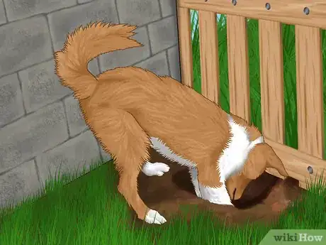 Image titled Stop Your Dog from Running Out of the Backyard Step 12