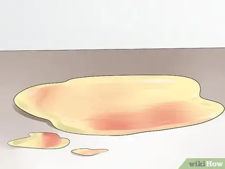 Image titled Detect Canine Bladder Stones Step 2