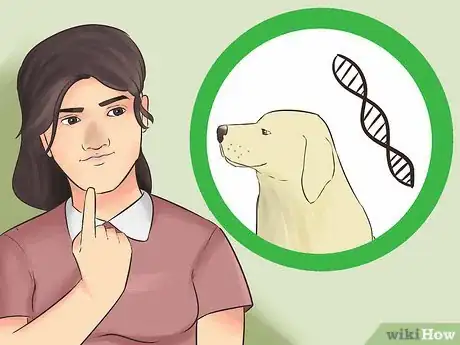 Image titled Create a Sound Reputation As a Dog Breeder Step 1