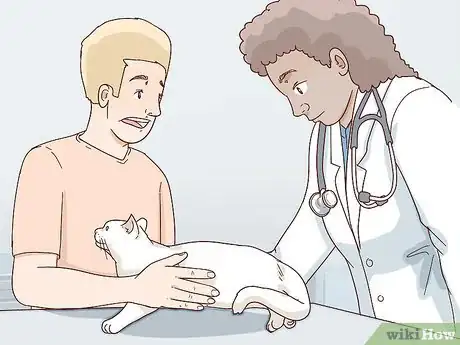 Image titled Handle Degenerative Joint Disease in Cats Step 1