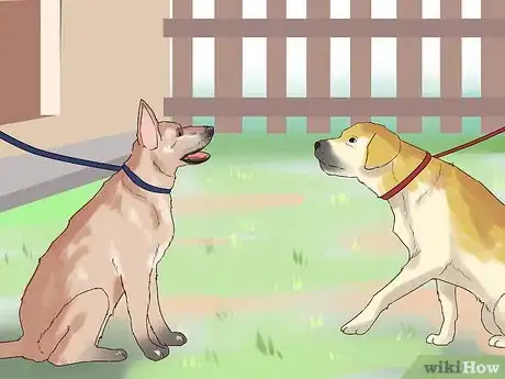 Image titled Supervise a New Dog Step 8