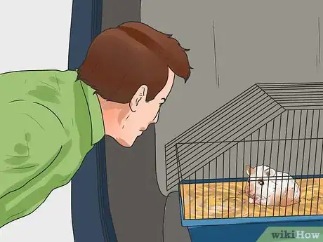 Image titled Travel With a Small Pet Step 14