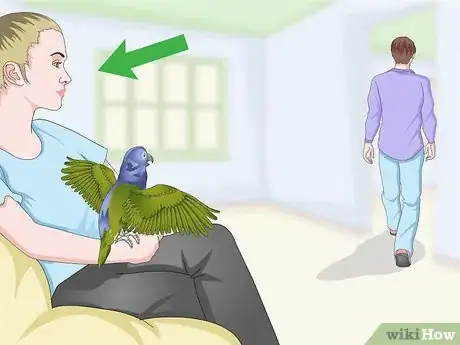 Image titled Keep a Pionus Parrot Entertained Step 16
