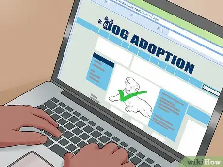 Image titled Adopt a Dog from a Humane Society or Animal Shelter Step 4
