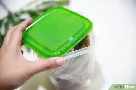 Image titled Keep Cookies Fresh Step 10