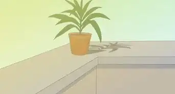 Revive a Wilted Herb Plant