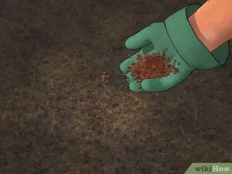 Image titled Grow Turnips Step 4