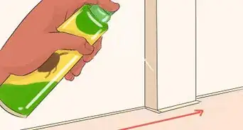 Prevent Ants in the Kitchen