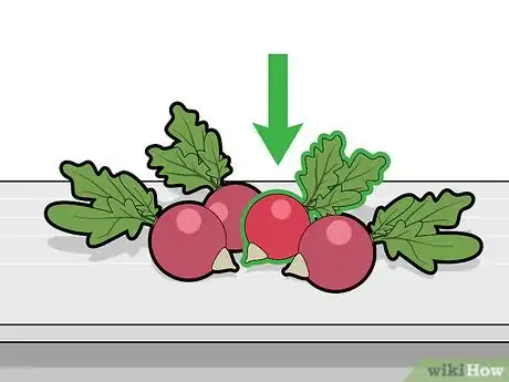 Image titled Choose Radishes Step 3