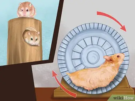 Image titled Make Your House a Better Place for Animals Step 14