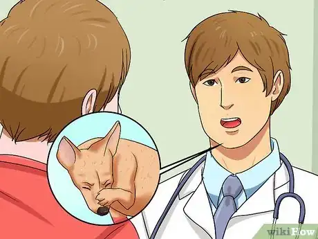 Image titled Diagnose Canine Allergies Step 7