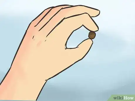 Image titled Feed a Yorkie Puppy Step 7