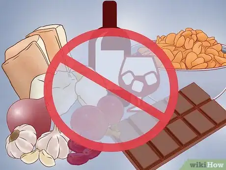 Image titled Care for Great Danes Step 4