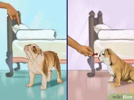 Image titled Build a Relationship With a Dog Step 4