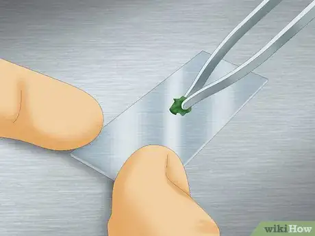 Image titled Use a Microscope to Observe Microorganisms Step 7