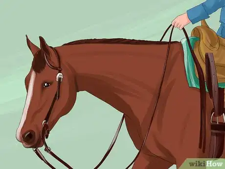 Image titled Get More Confident Around Horses Step 10