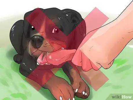 Image titled Stop Your Dog from Begging Step 2