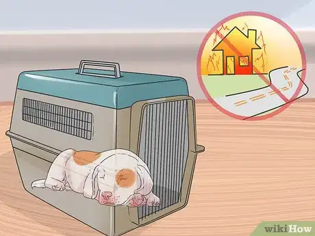 Image titled Fire Drill Train Your Dog Step 12