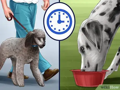 Image titled Adopt a Non‐Sporting Breed Step 16