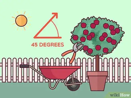 Image titled Prune Tree Roses Step 9