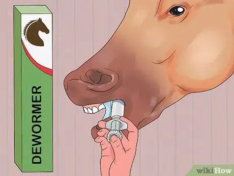 Image titled Feed a Starving Horse Step 6