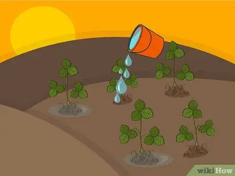 Image titled Grow Strawberries Step 16