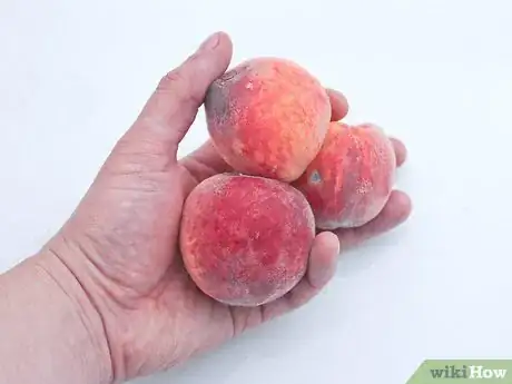 Image titled Make Peach Syrup Step 2