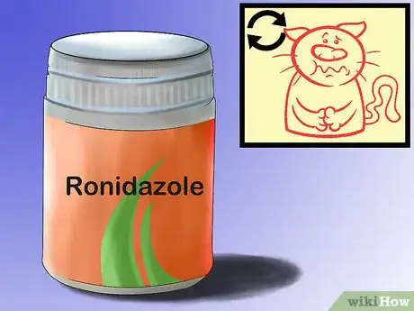 Image titled Give Ronidazole to Cats with Trichomoniasis Step 11