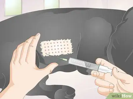 Image titled Treat Canine Allergies Step 9