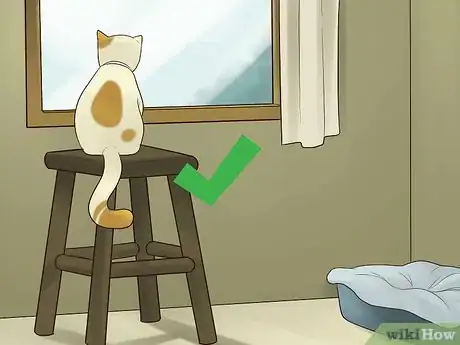 Image titled Catify Your Room Step 5