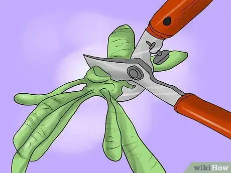 Image titled Overwinter Dahlias Step 14