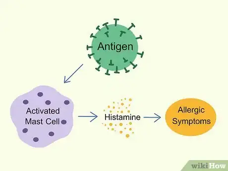Image titled Treat Mast Cell Activation Syndrome Step 1