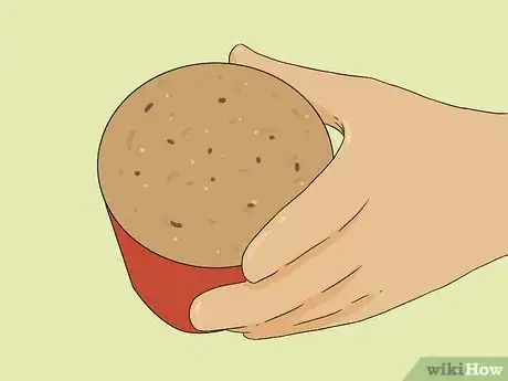 Image titled Propagate Baby Spider Plants Step 4