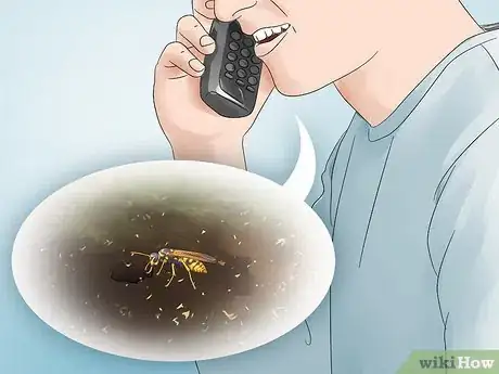 Image titled Get Rid of Ground Bees Step 12