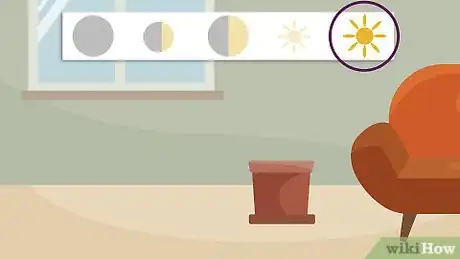 Image titled Plant Oxalis Step 5