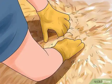 Image titled Prevent Cats from Pooping in the Garden Step 14