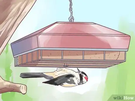 Image titled Attract Woodpeckers to Your Yard Step 2