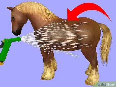 Image titled Show a Miniature Horse Step 7