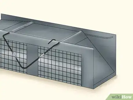 Image titled Catch an Escaped Pet Rat Step 2