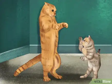 Image titled Keep a Cat's Mind Active Step 4
