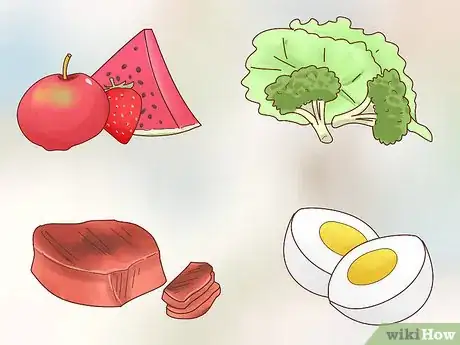 Image titled Take Care of a Hedgehog Step 10